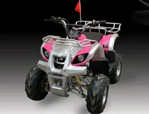 Quad (ATV) SK110-2