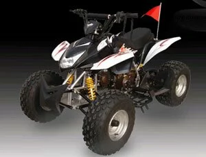 Quad (ATV) SK110-4