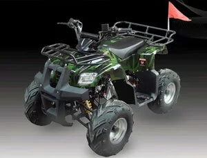 Quad (ATV) SK110-6
